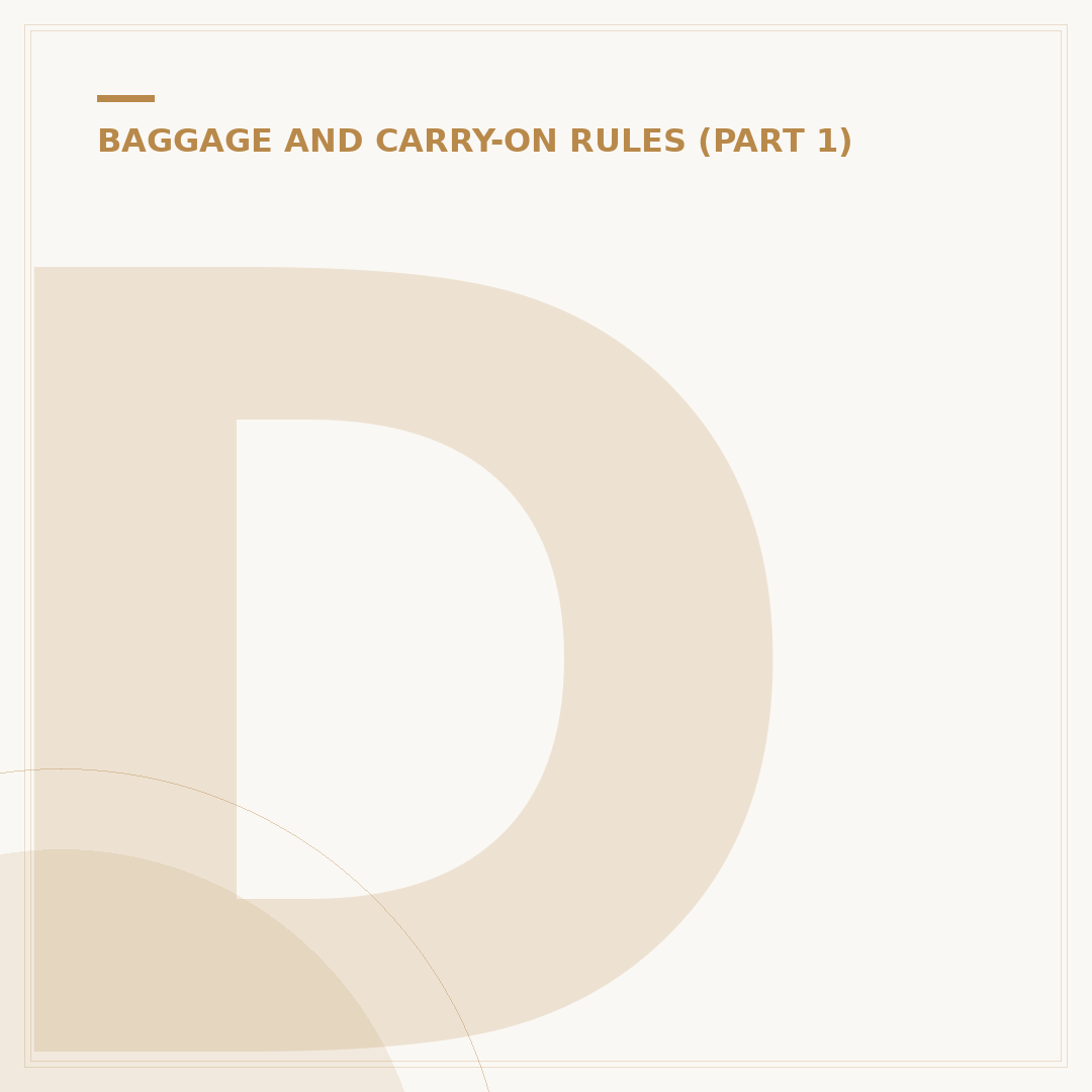 Designer Hand Luggage: Choosing Premium Travel Cases