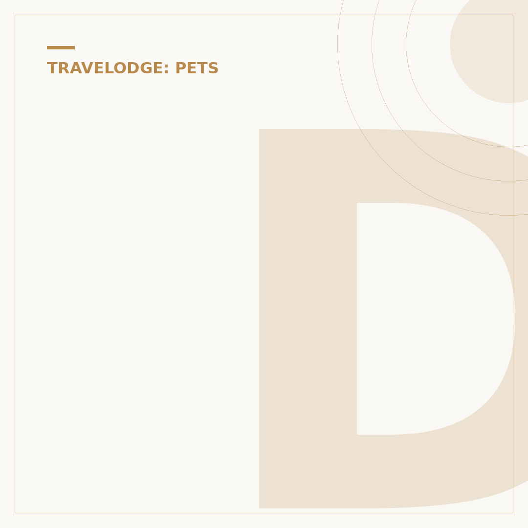 Do Travelodge Take Dogs? A Policy Overview