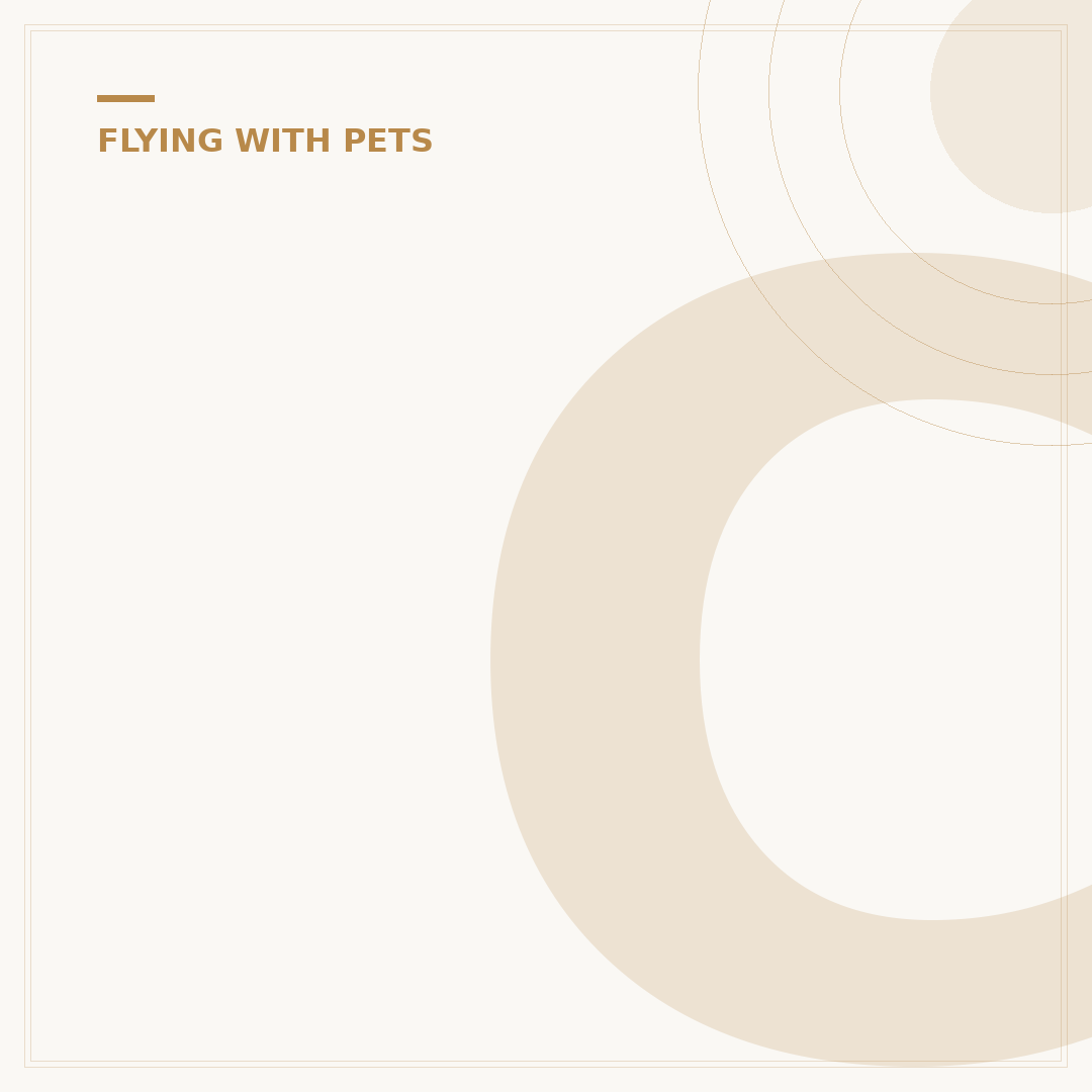 Can I Take My Dog on a Plane UK?