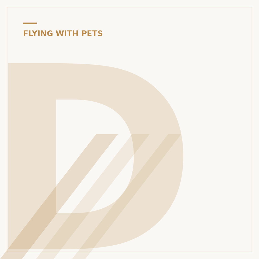 Dog Private Plane Travel: Regulatory and Logistical Facts