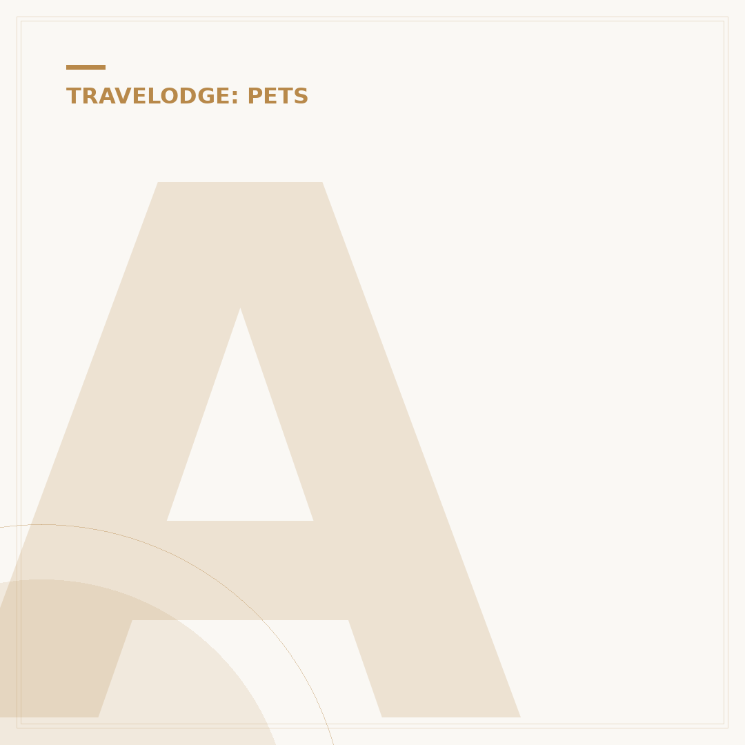 Are Dogs Allowed in Travelodge Hotels? Policies Explained