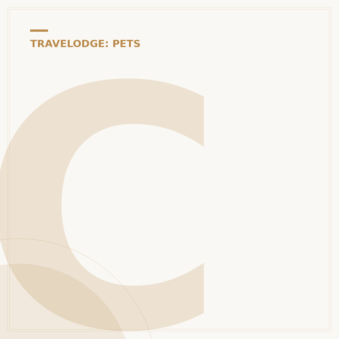 Can Dogs Stay in Travelodge Hotels? Policy Explained
