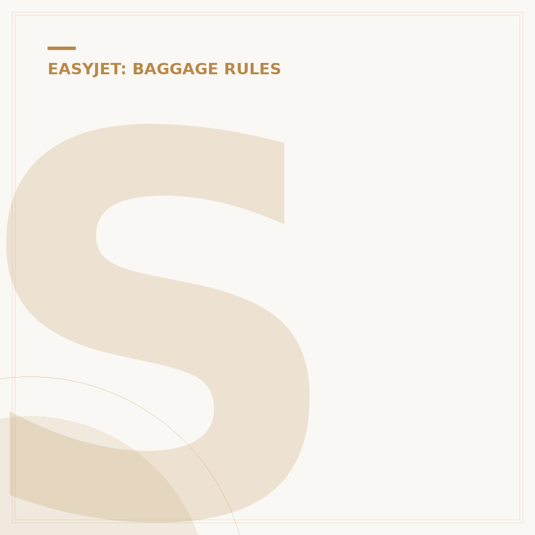 Small Under-Seat Cabin Bags for EasyJet