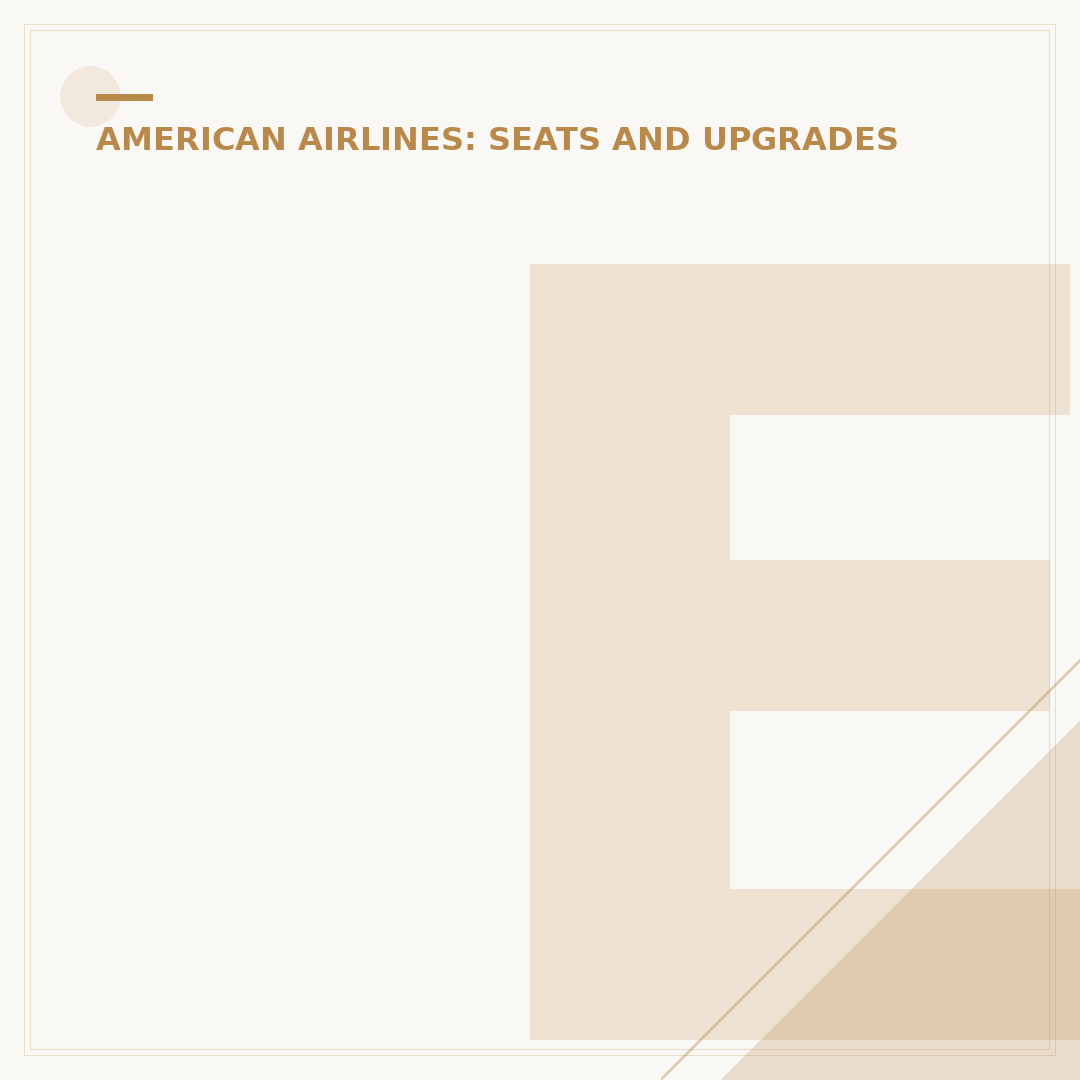 Economy on American Airlines: A Detailed Analysis