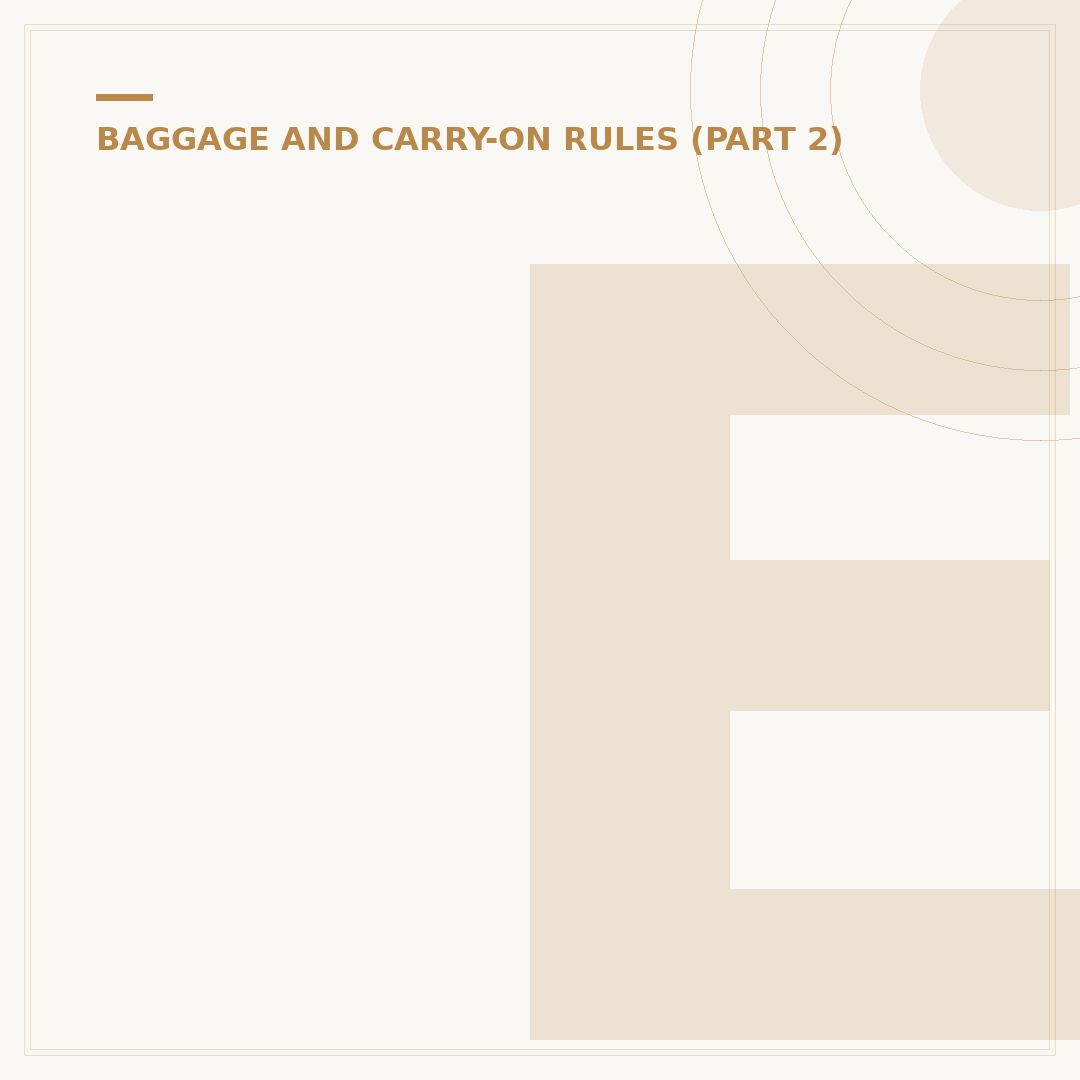 EgyptAir Baggage Policy: Cabin and Hold Rules