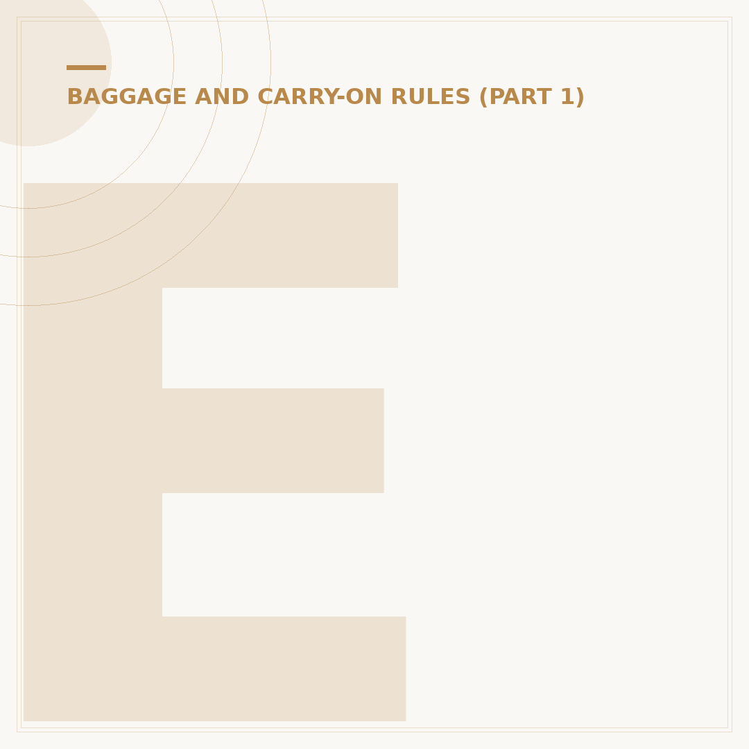 EgyptAir Baggage Rules