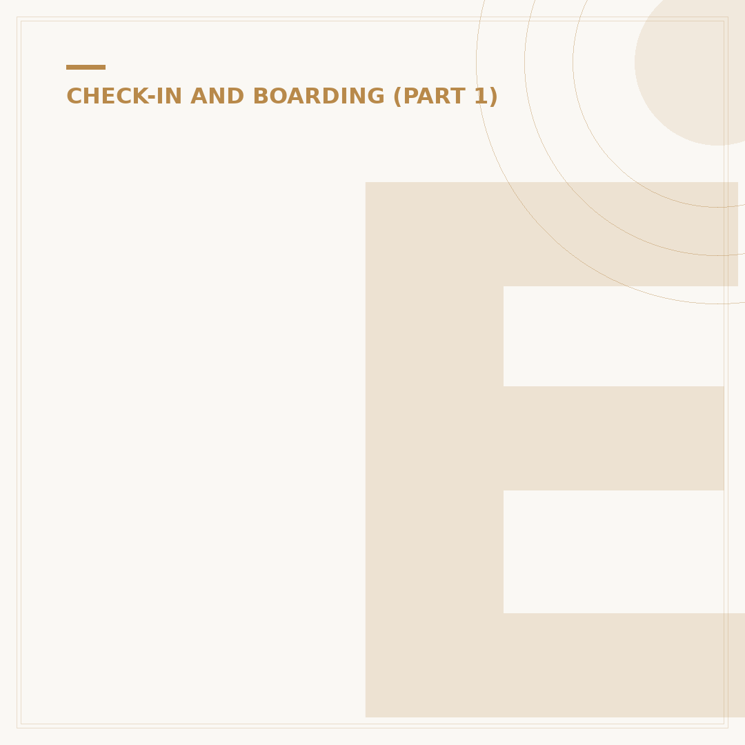 EgyptAir Online Check In: Procedures and Requirements