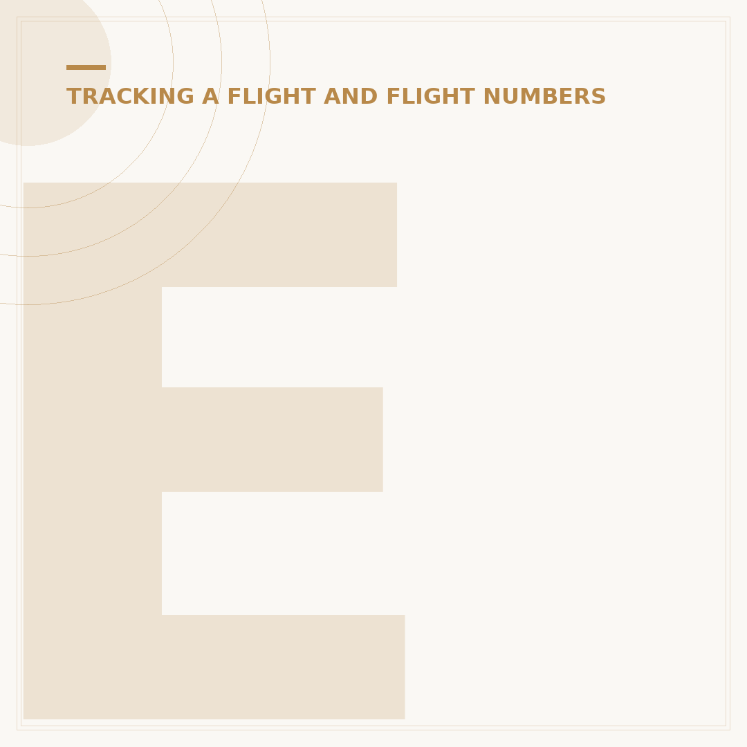 Emirates Flight Details