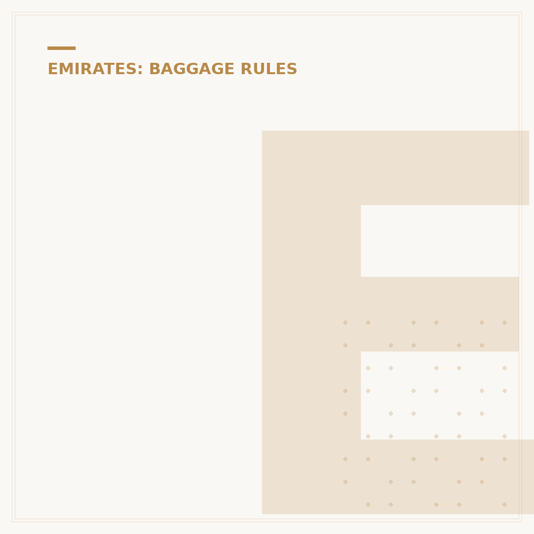 Emirates Hand Baggage Allowance Compliance Rules