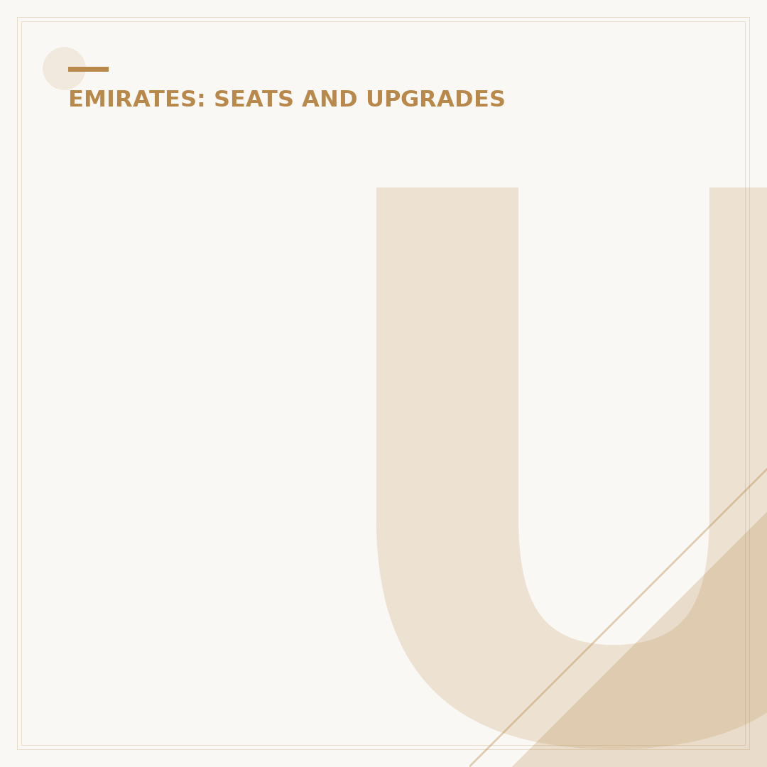 Understanding the Emirates Menu Economy Experience
