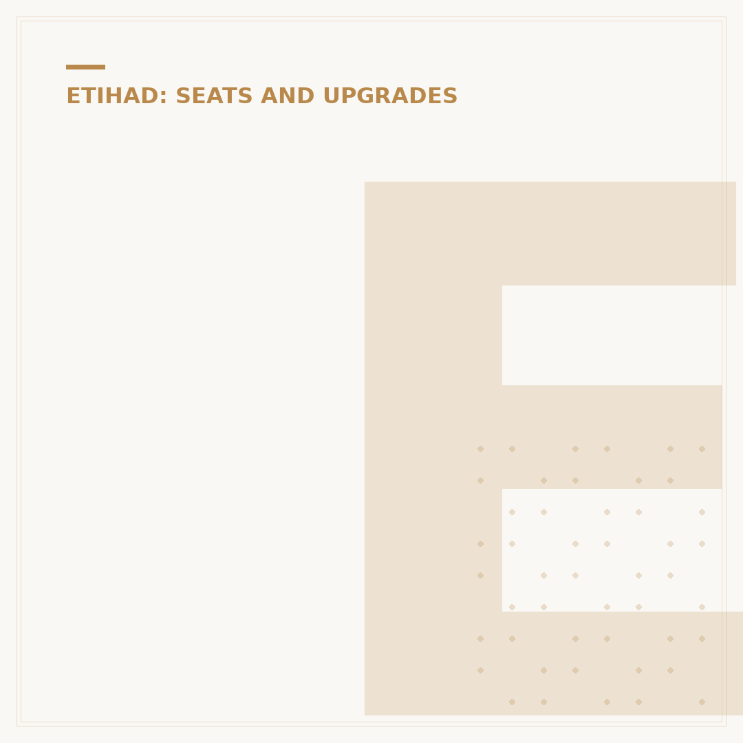 Etihad 787 9 Business Class: What to Expect