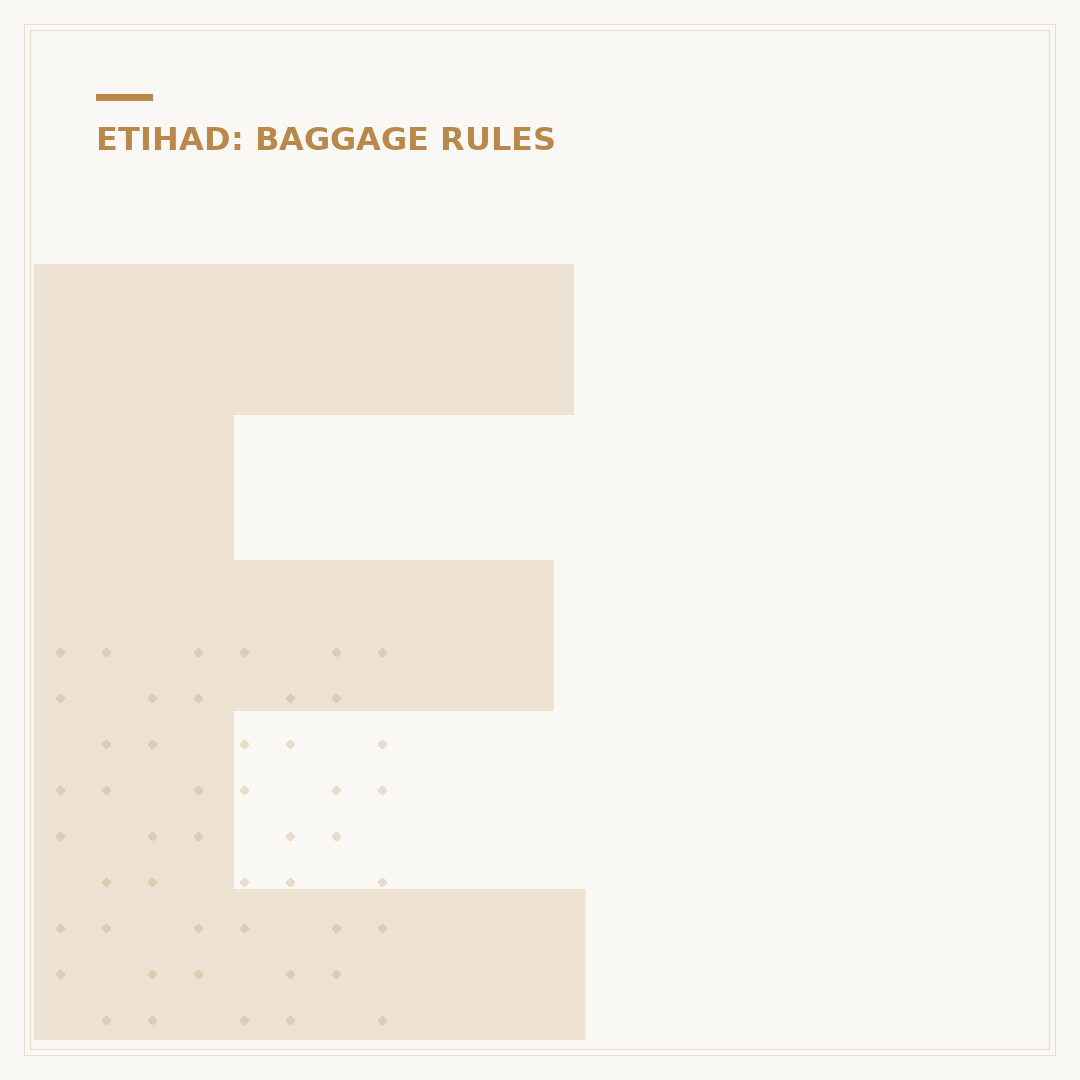 Etihad Airways Baggage Policy Explained