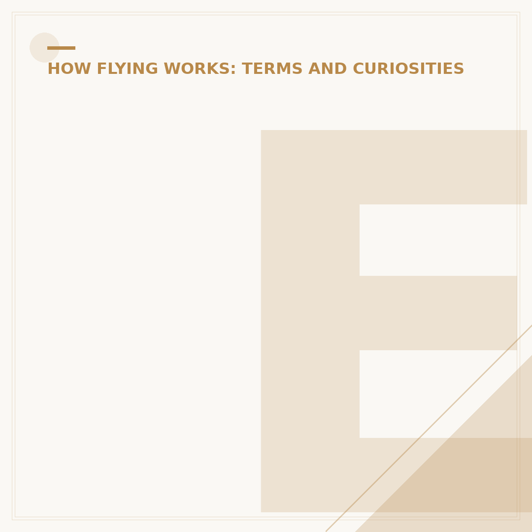 Etihad Meaning: Understanding the Airline and its Name