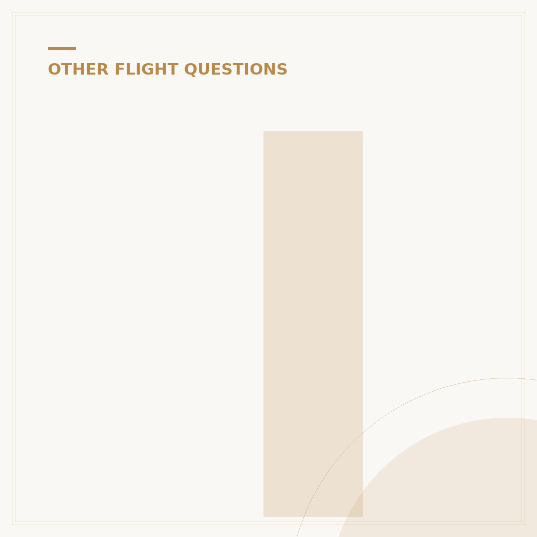 Is Turkish Airlines Good?