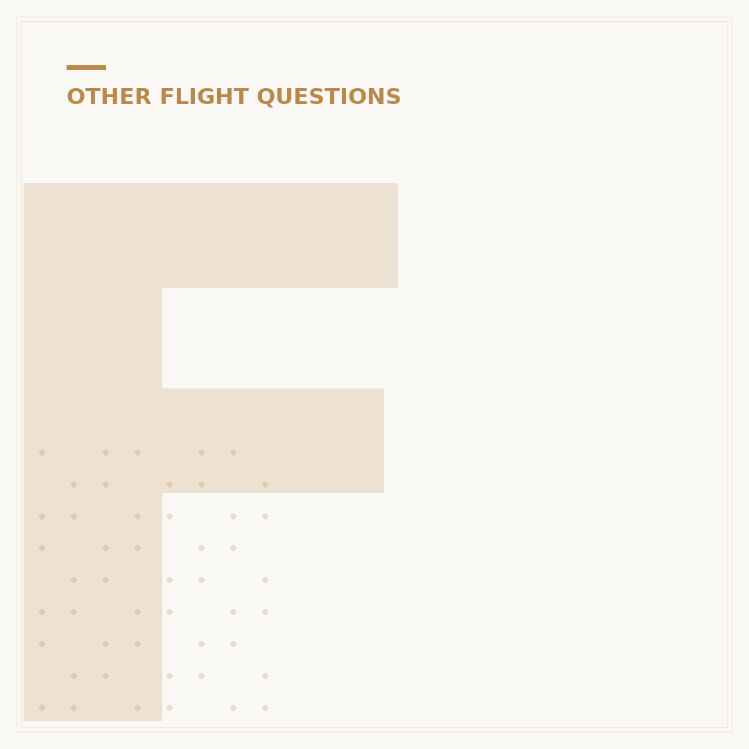 Fly with Qantas: Understanding the Airline Service