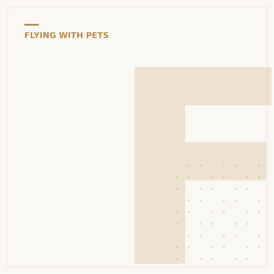 Flying with a Dog in Cabin: Rules and Requirements