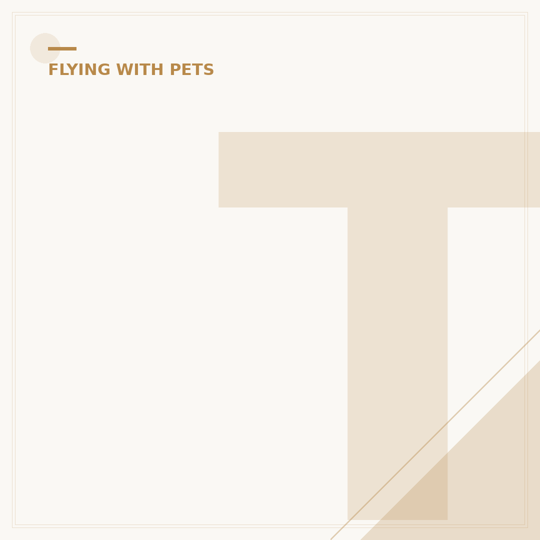 Traveling by Plane with a Spotty Dog