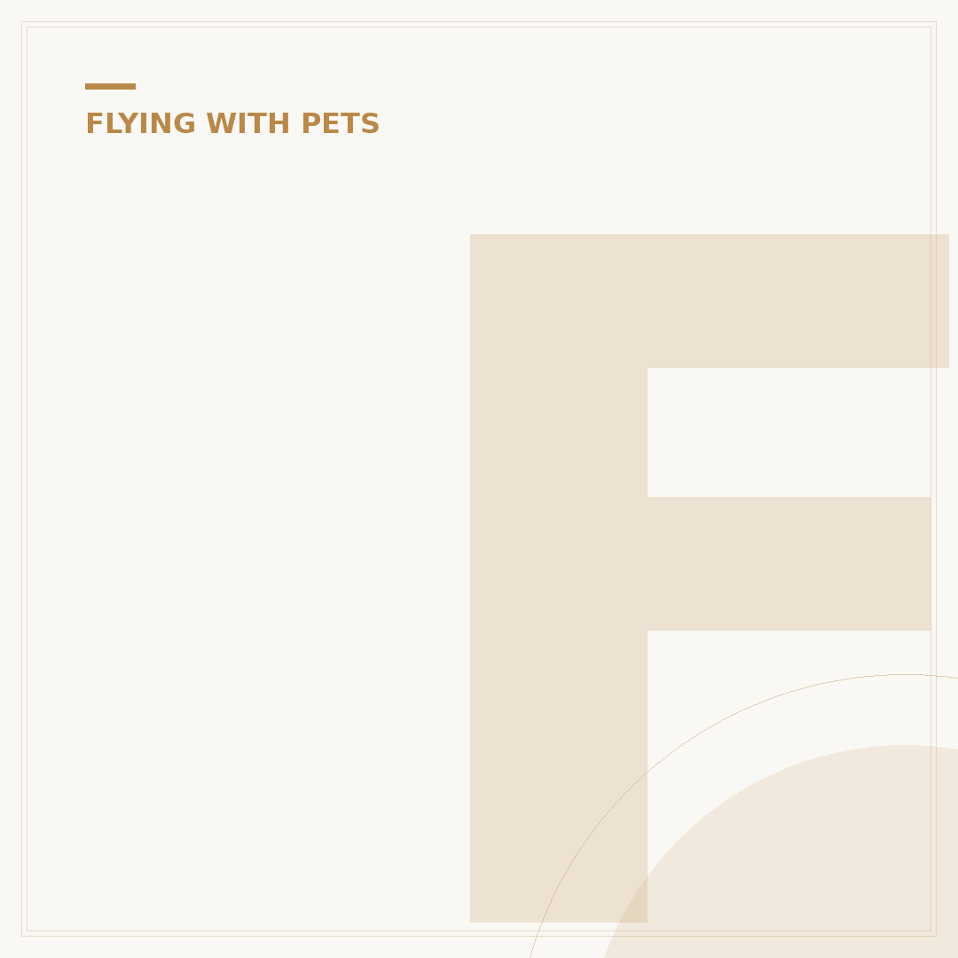 Flying With A Dog: Airline Regulations And Travel Safety