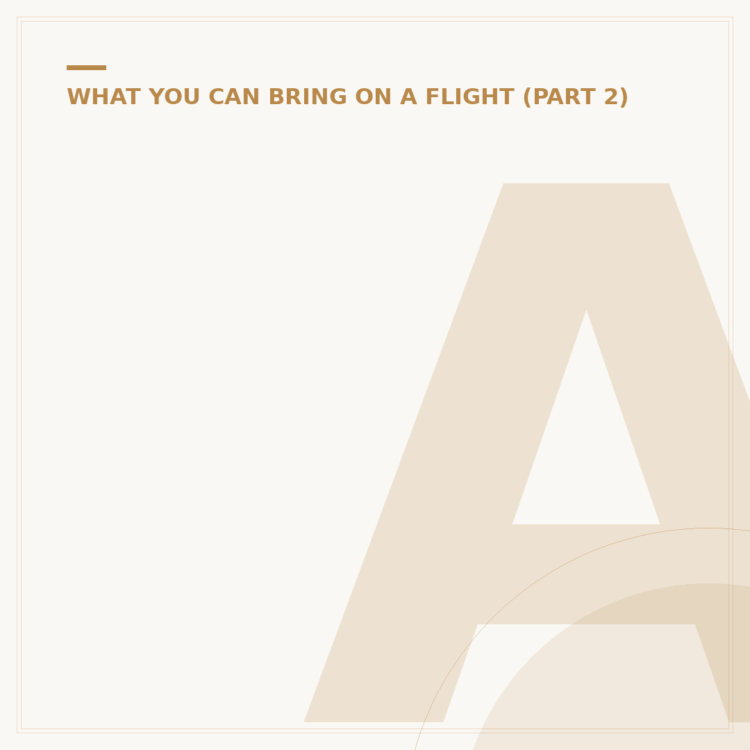 Are You Allowed to Bring Food on a Plane?