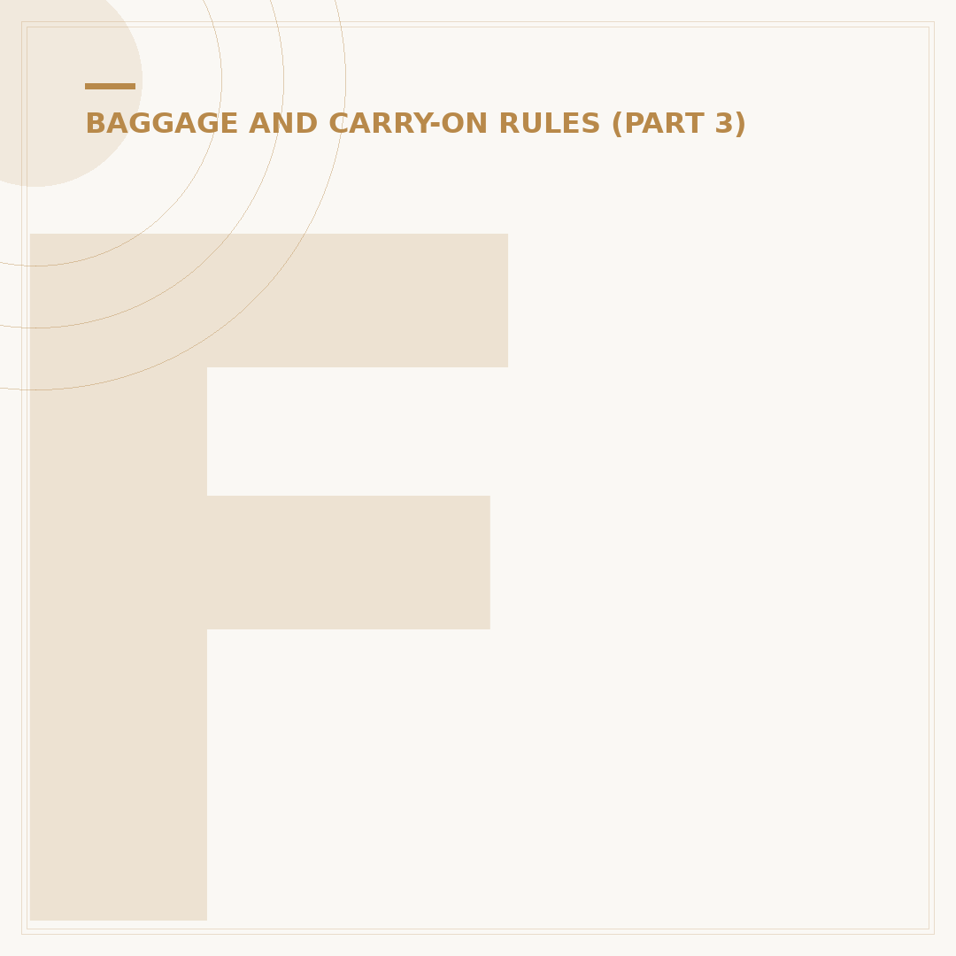 Front Opening Cabin Bag Design and Utility Analysis