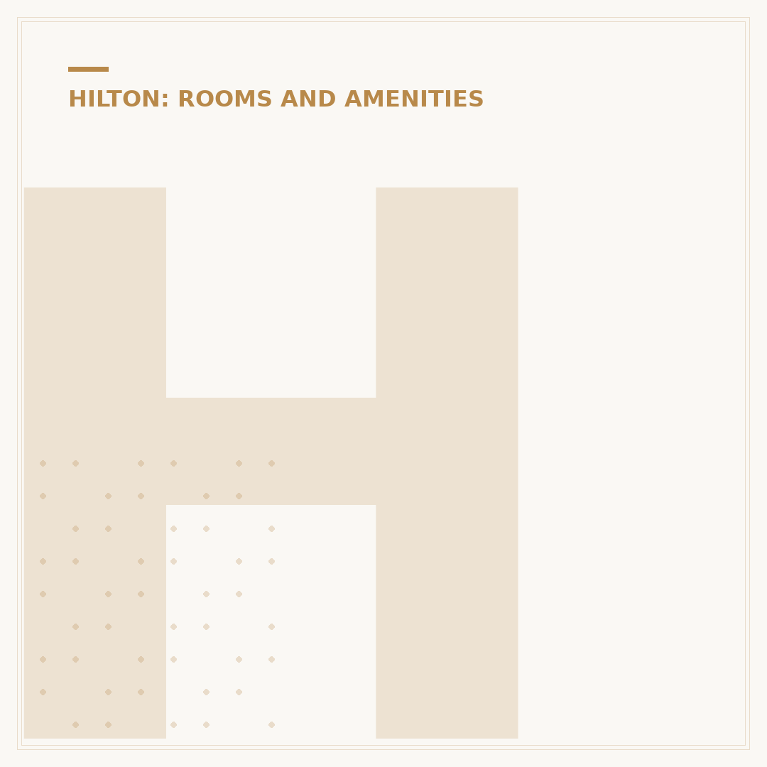 Hilton Hotel Rooms: What to Expect and Features