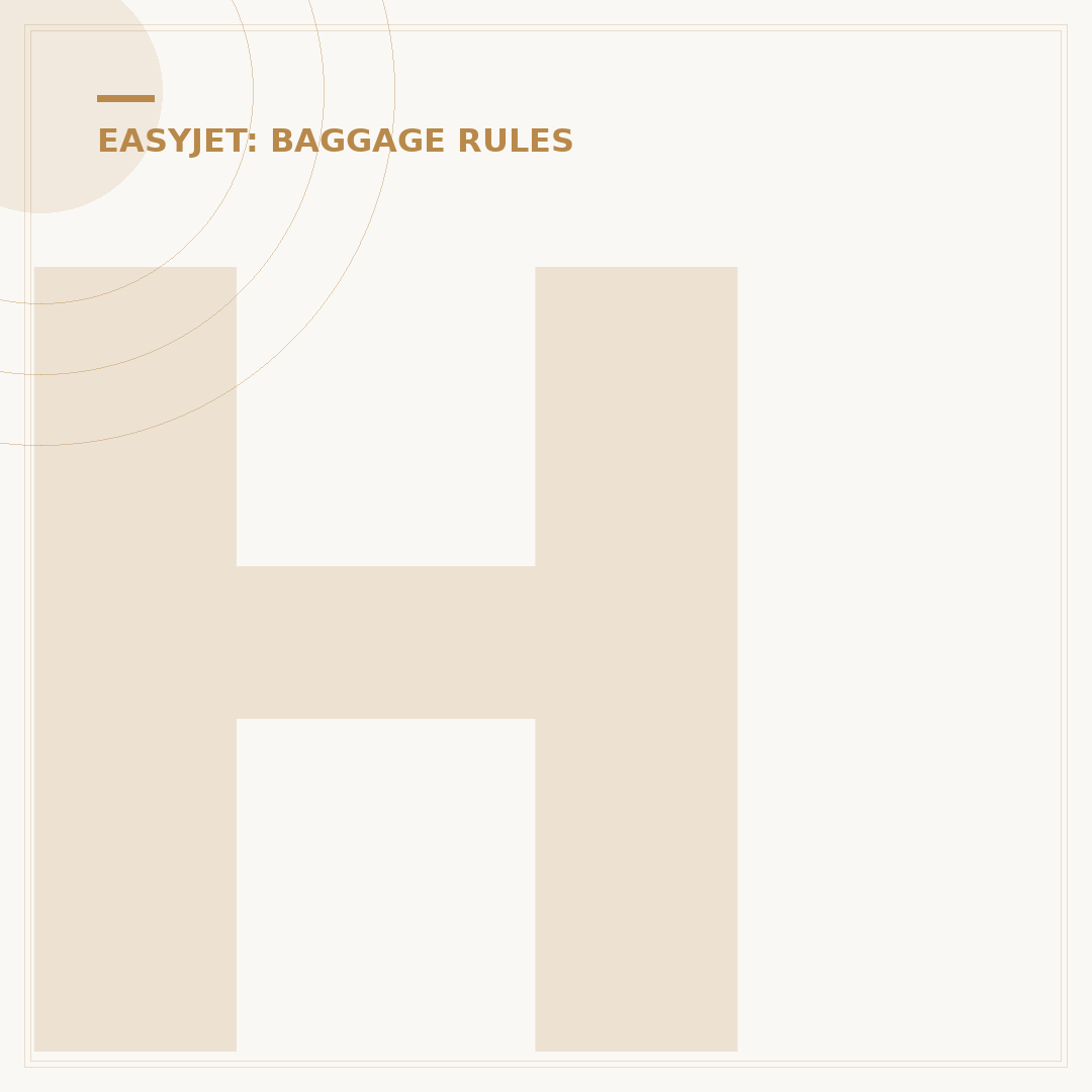 How to Add a Large Cabin Bag to Your EasyJet Booking