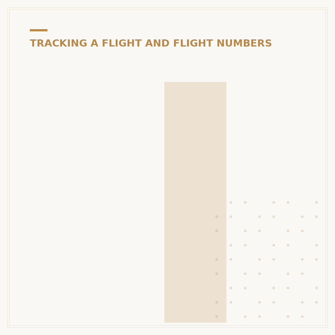 Iberia Airlines Track Flight: Managing Status Updates
