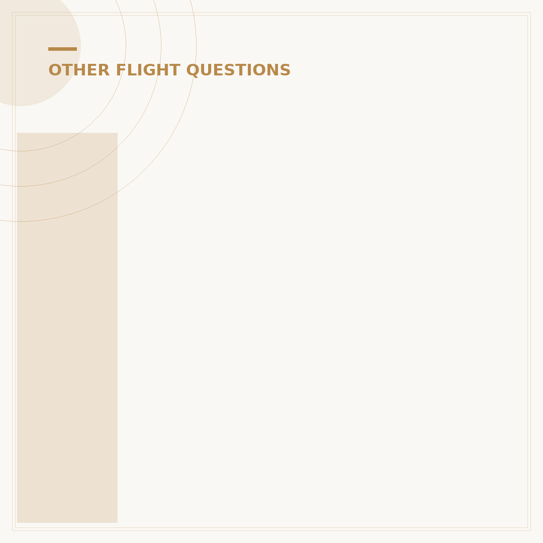 Iberia Express: Airline Fleet, Routes and Service