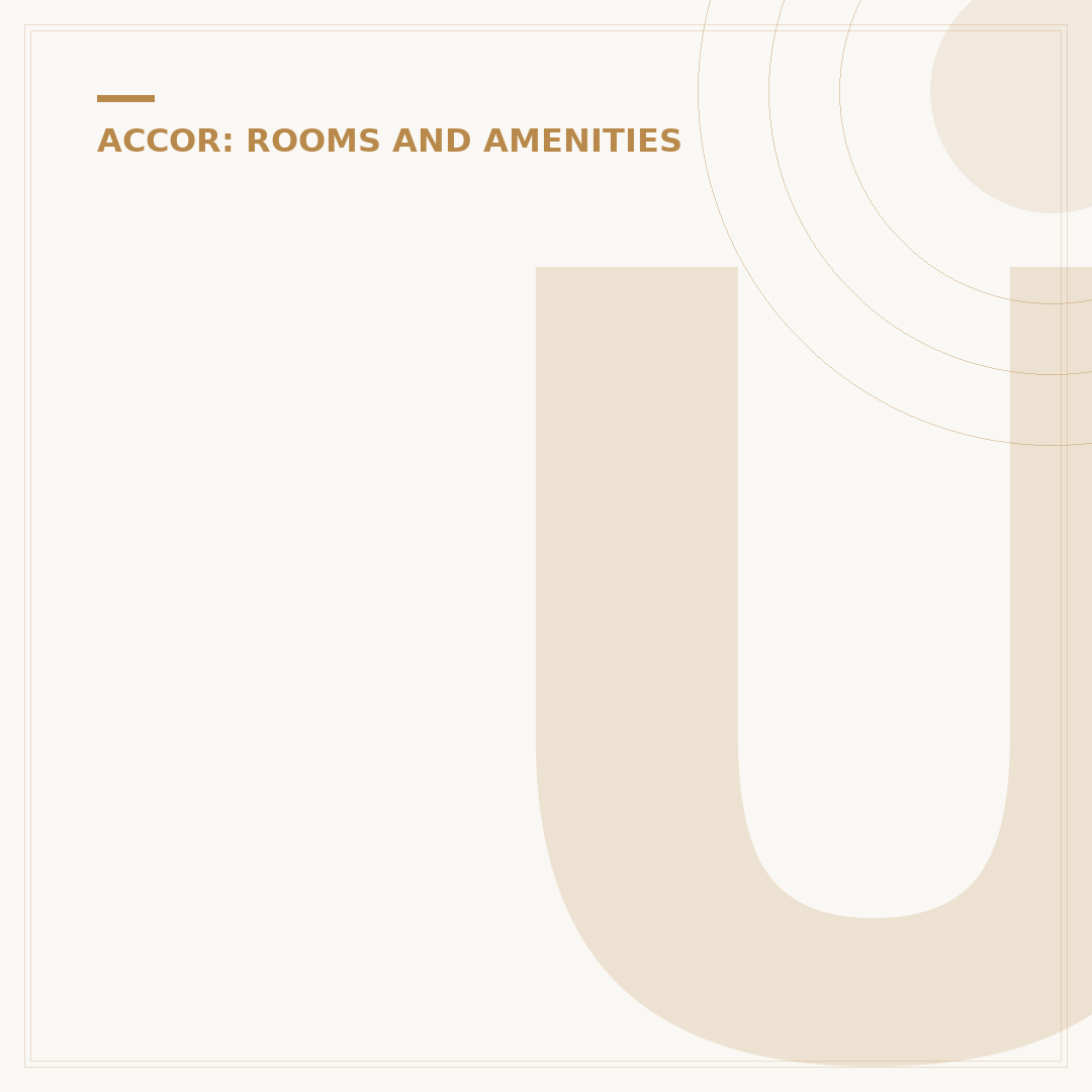 Understanding Ibis Hotel Rooms: Standards and Amenities