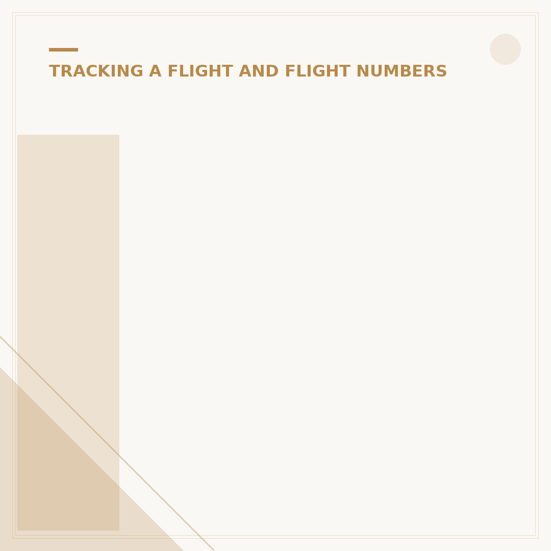 Identifying Your Flight Number: A Technical Overview