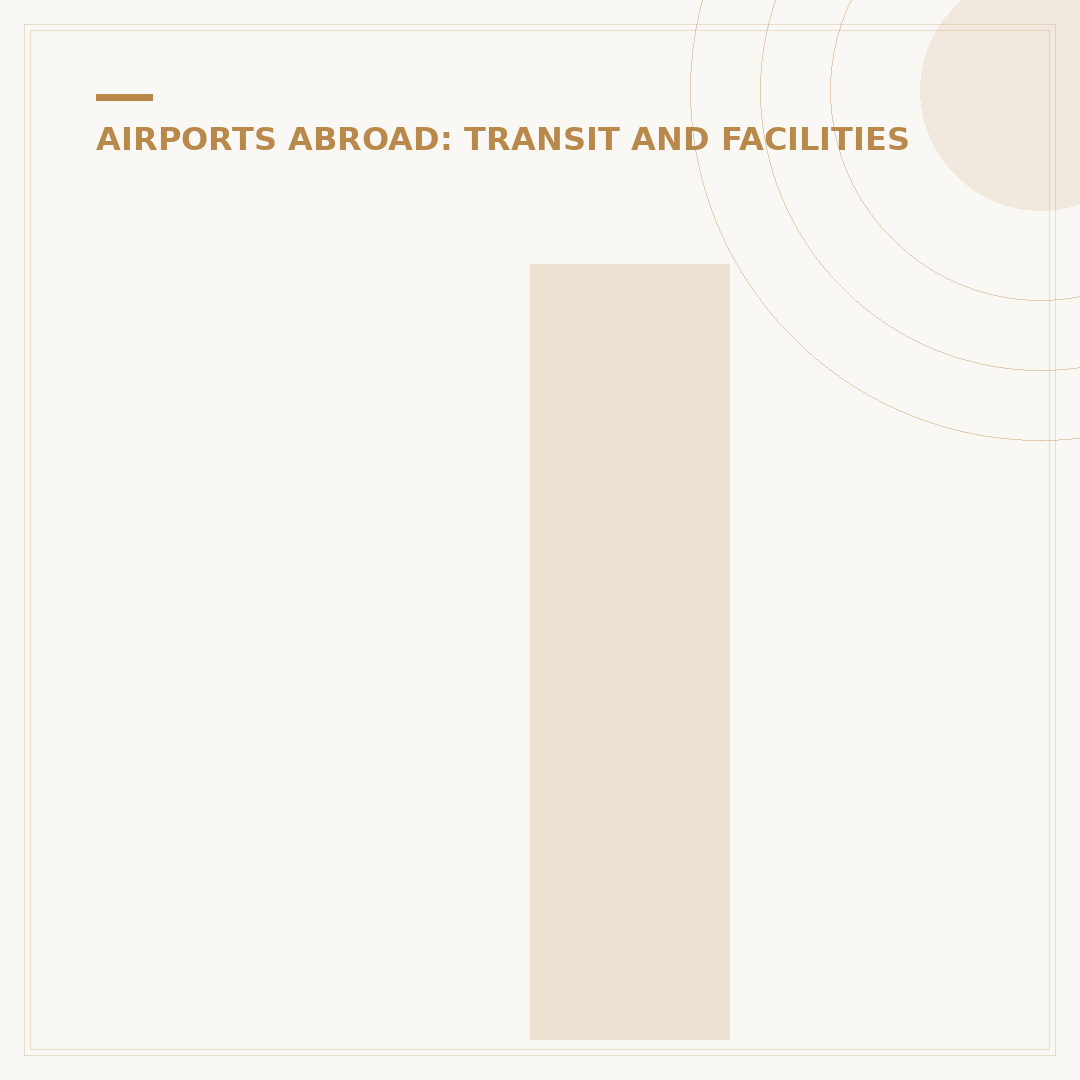 Is Abu Dhabi Airport Safe for International Travellers?