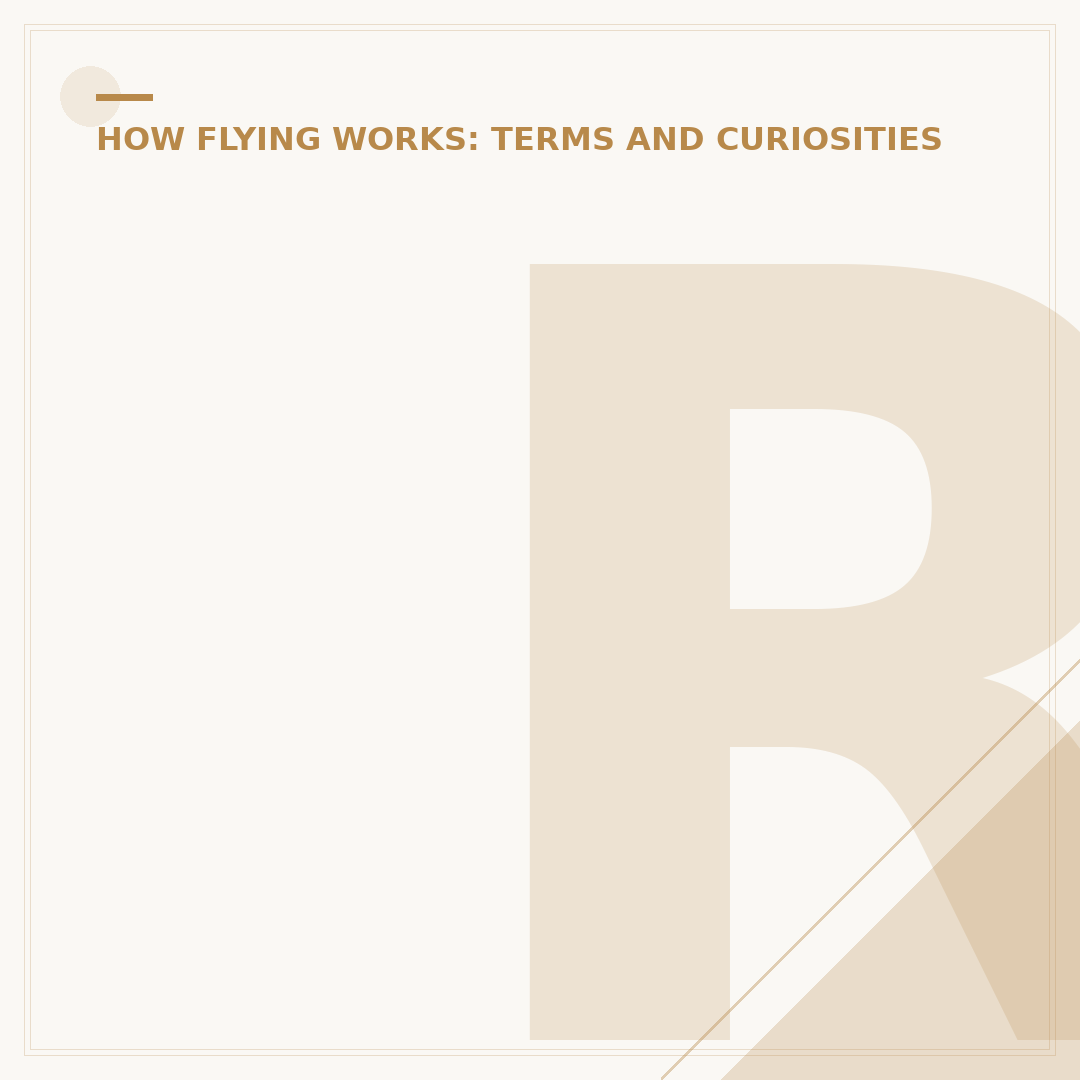 Ryanair Safety Standards: A Technical Assessment