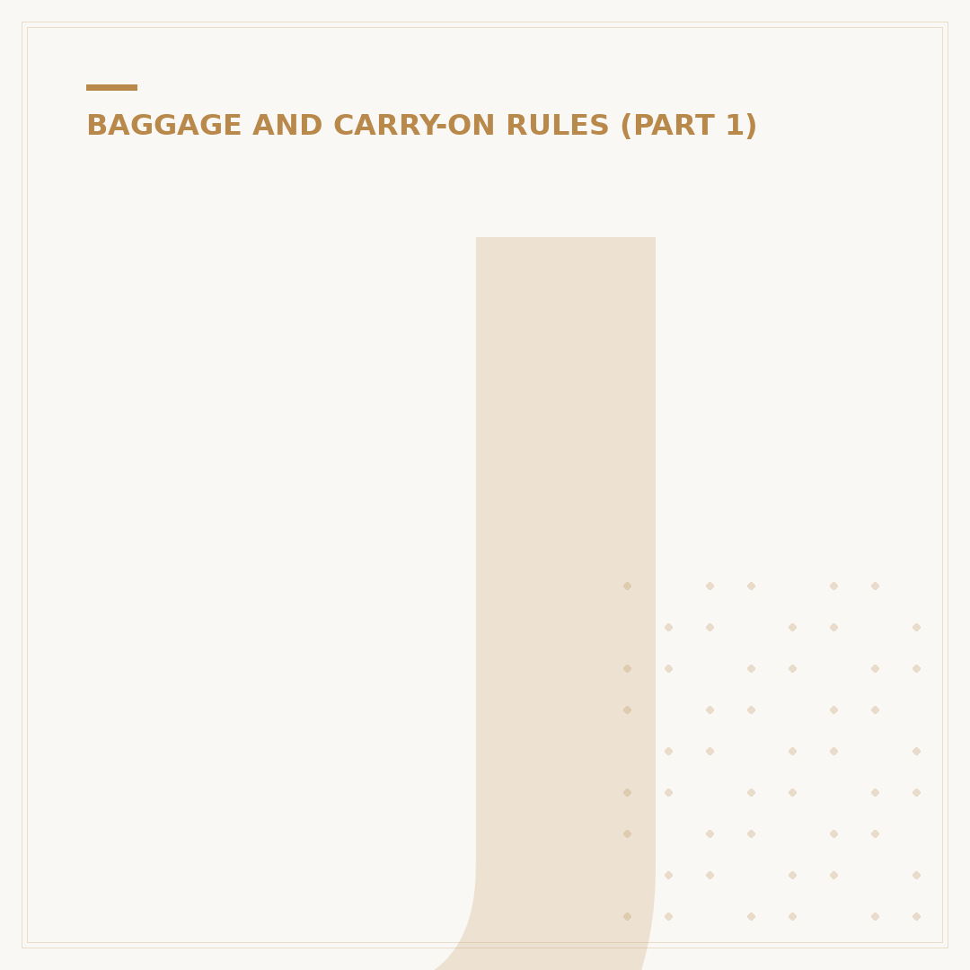 Japan Airlines Baggage Rules