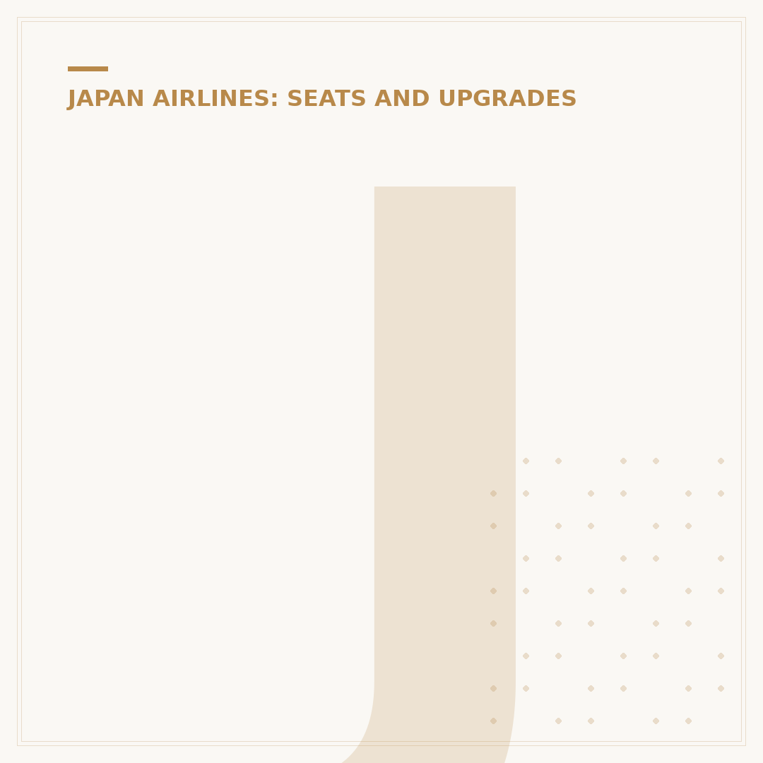 Japan Airlines Economy Seats: What to Expect