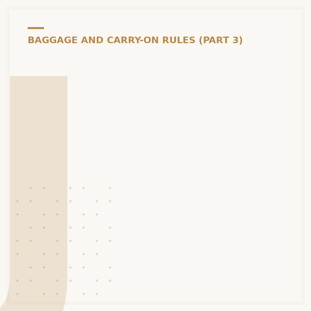 Jet Hand Luggage Size: Airline Dimensions Explained