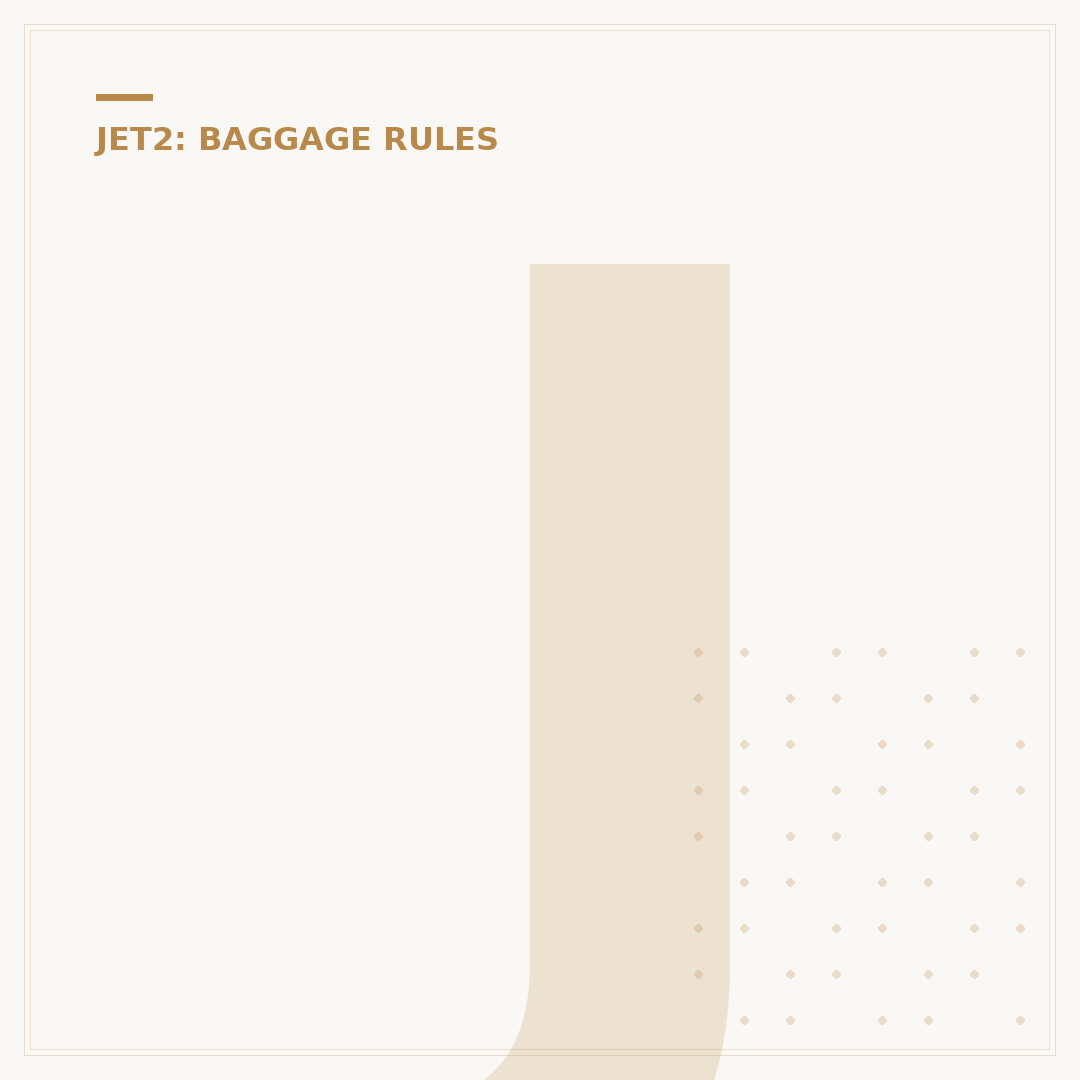 Jet2 10kg Bag Size: Dimensions & Rules