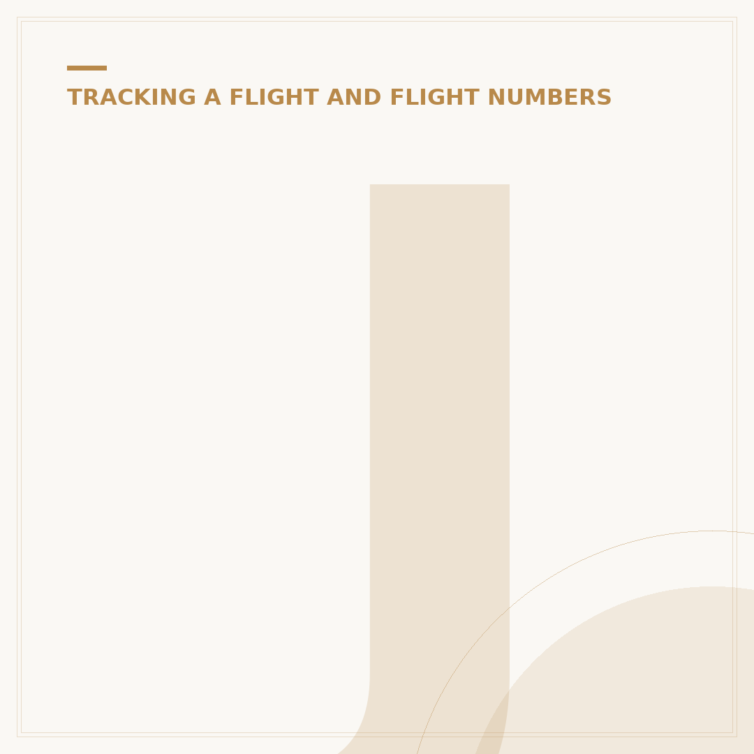 Jet2 Plane Tracking: Expert Monitoring Methods