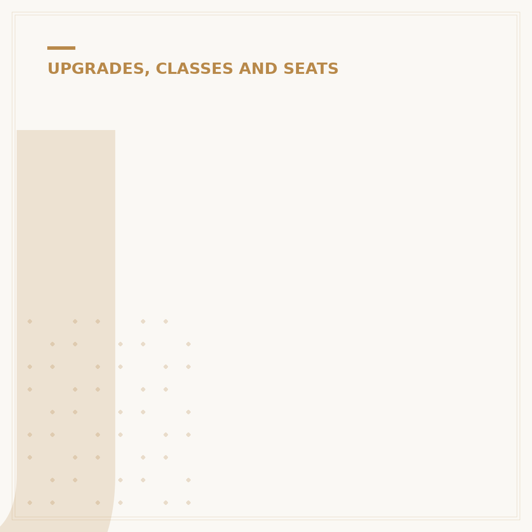 JetBlue Business Class: Mint Cabin Analysis