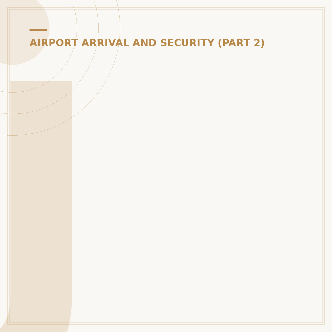 JetBlue JFK: Which Terminal is Your Flight?