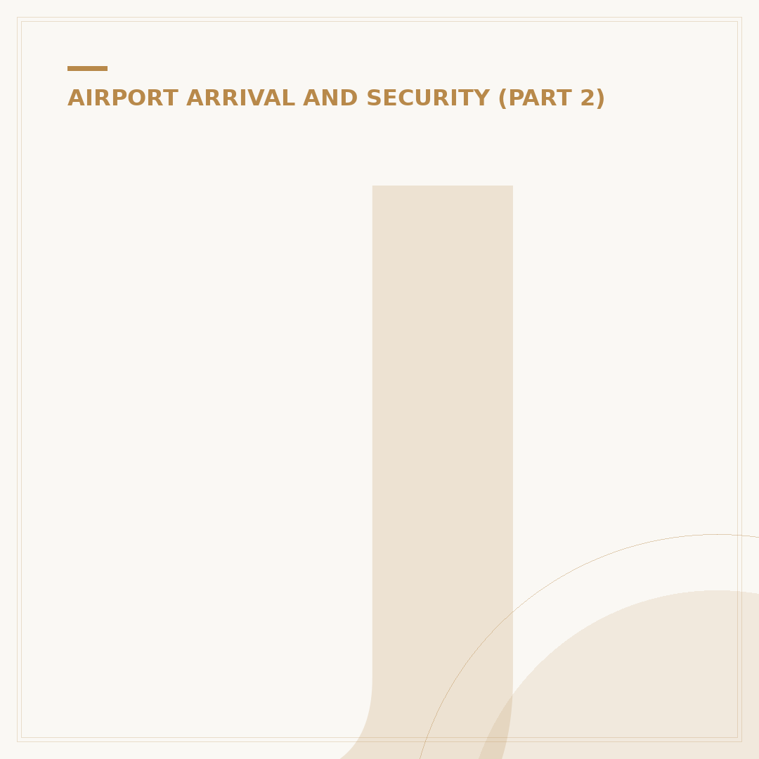 JetBlue Terminal JFK: Navigating JFK Airport
