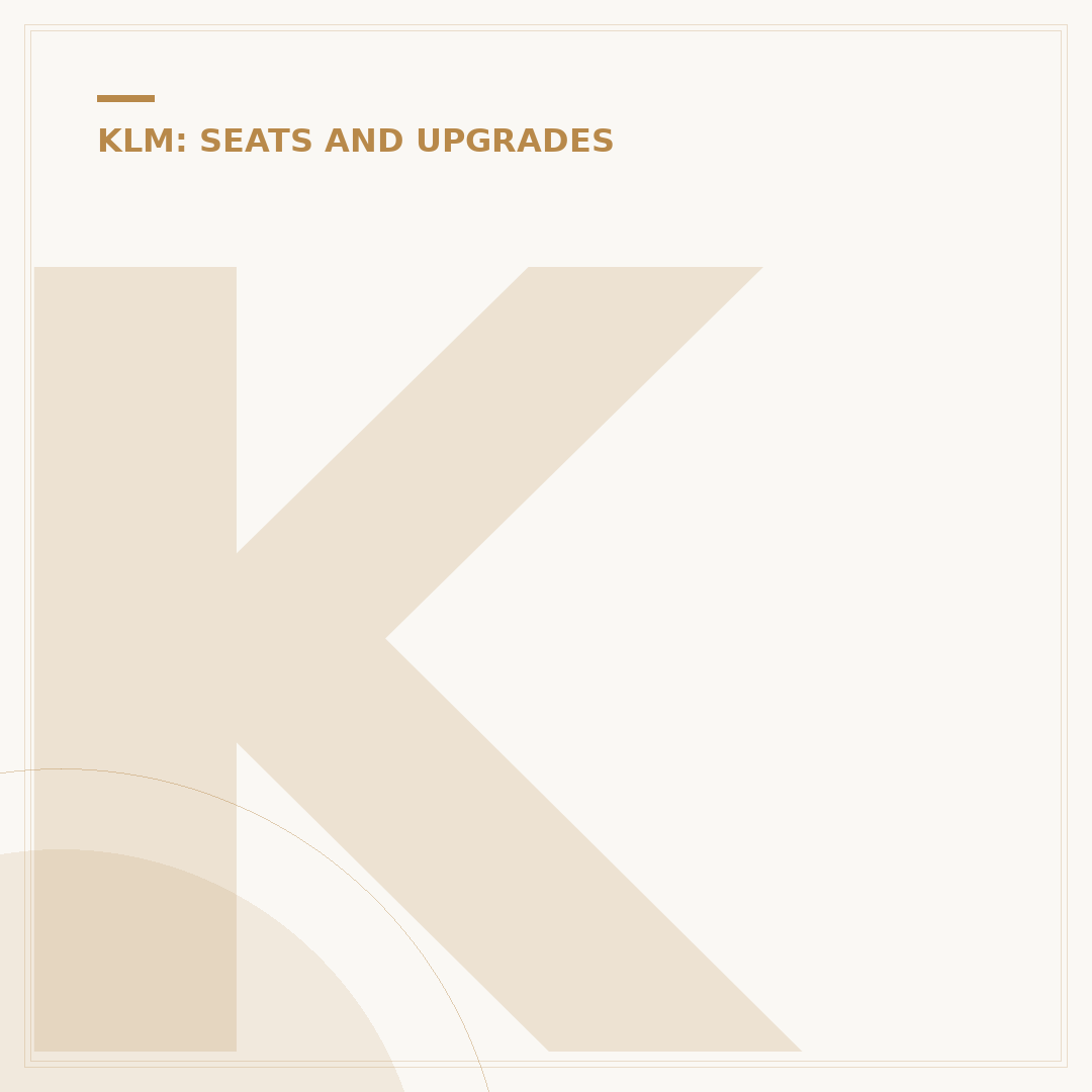 KLM 787 Business Class: Evaluating Cabin Comfort
