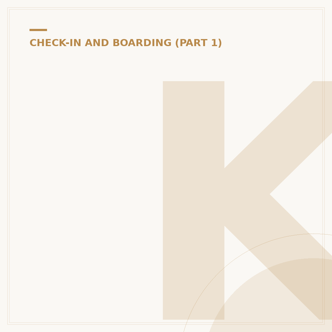 KLM Internet Check-in: Procedures and Travel Protocols