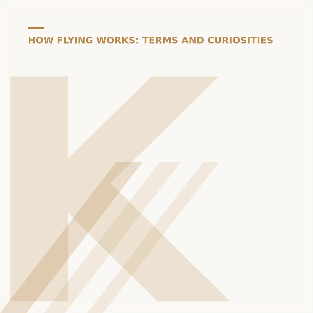 KLM Meaning: Slang Explained for UK Context