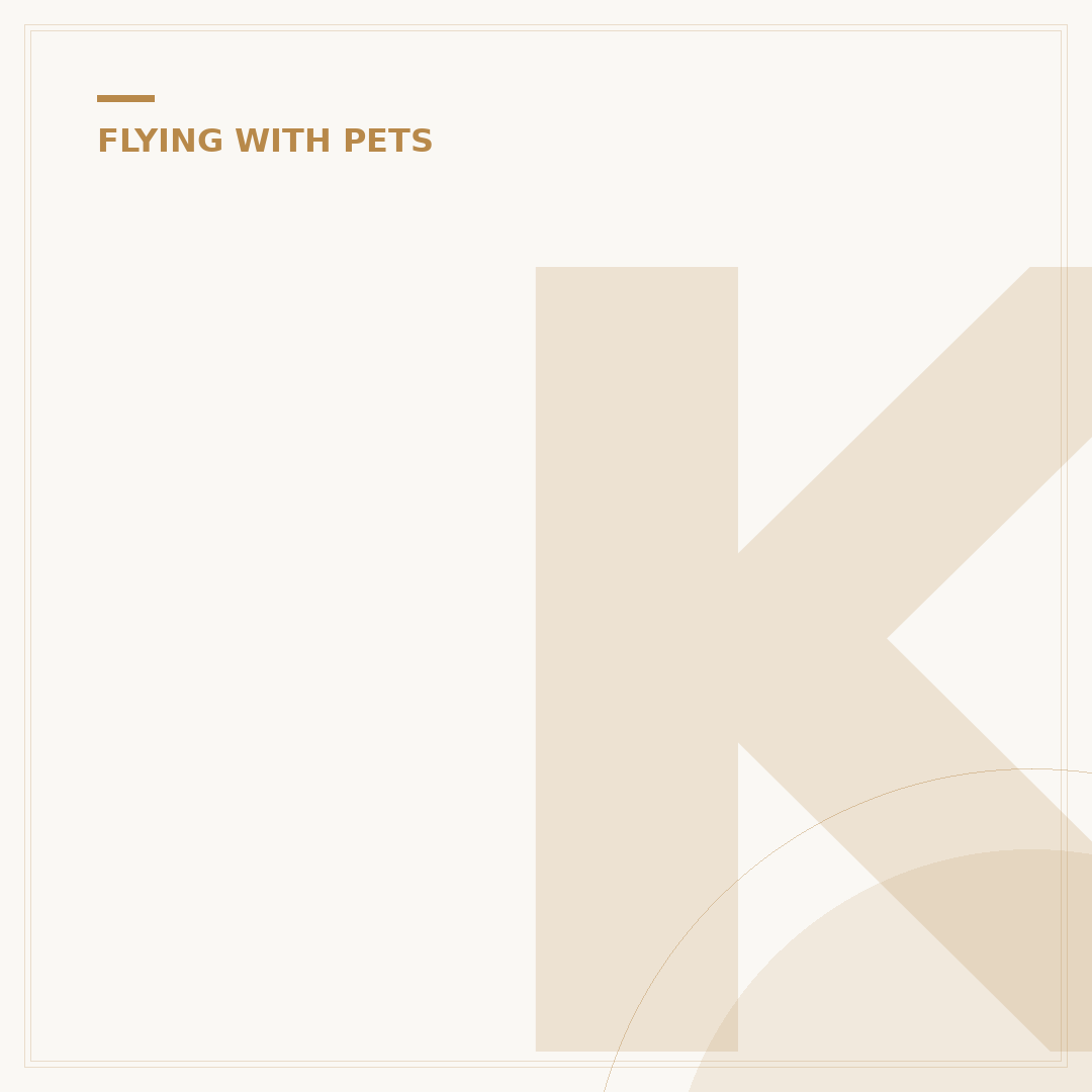KLM Pet Policy: Travelling with Animals Safely