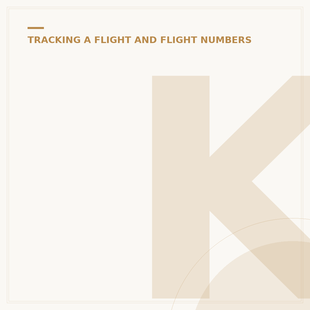 KLM Track My Claim: Avoid Errors and Get Updates