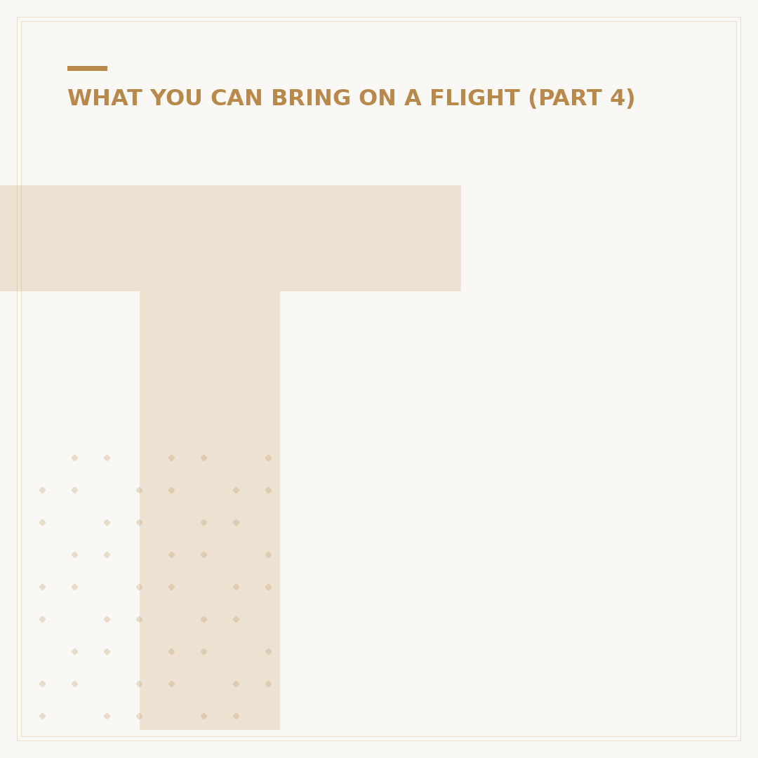 Taking a Laptop on a Plane
