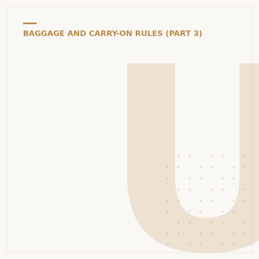 Understanding the Largest Cabin Bag Size Limits