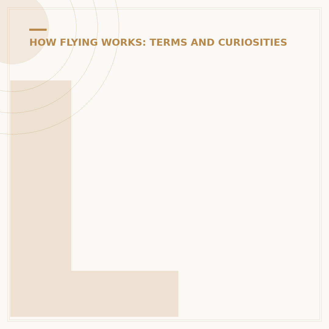 Lufthansa Meaning: Etymology and Corporate Heritage