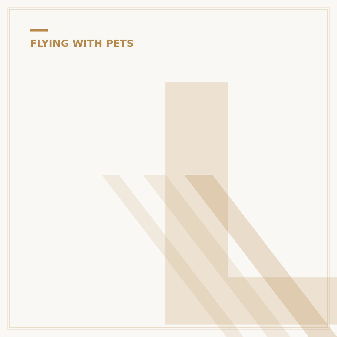 Lufthansa Pet Policy: Flying with Animals Explained