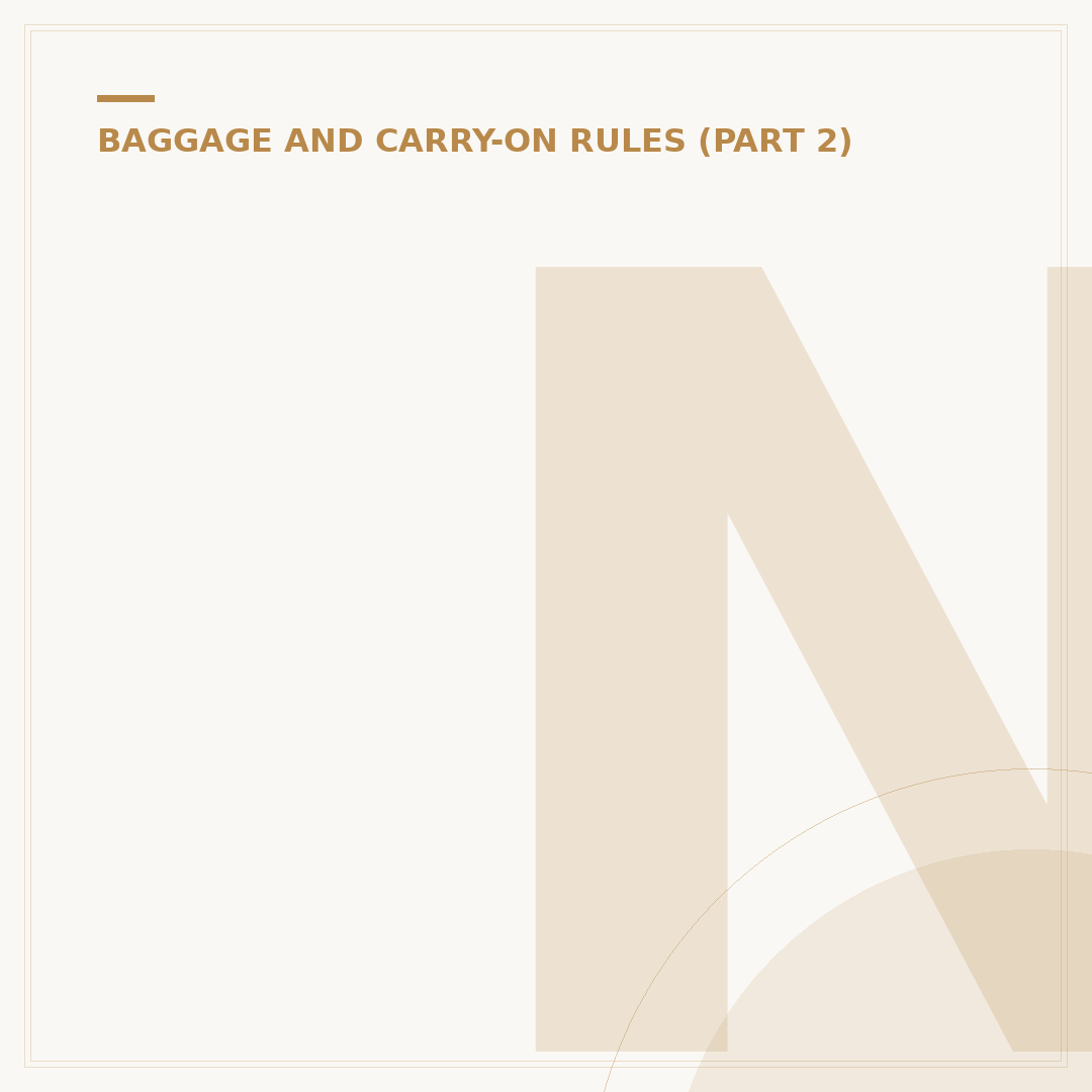 Navigating Hand Luggage Pushchair Flight Standards